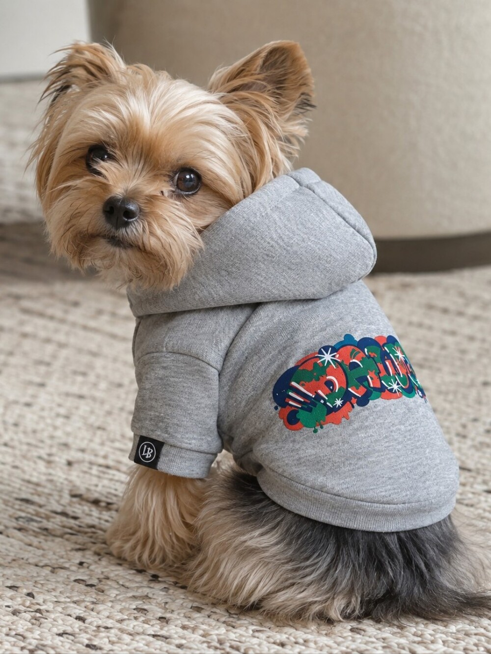 The DAWG Hoodie
